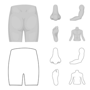 臀部, 鼻子, 胳膊, 脚。部分身体集合图标的轮廓, 单色风格矢量符号股票插画网站