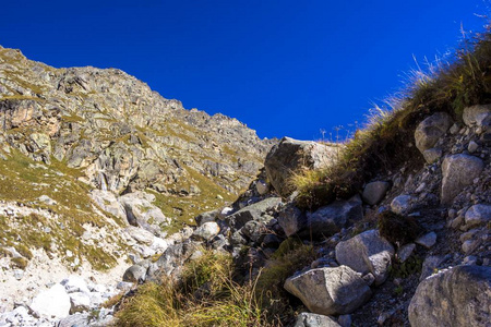 美丽的山景观高岩石