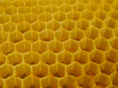 黄色蜂与蜂蜜健康食物。背景