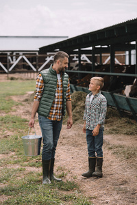 父亲与水桶和小儿子在橡胶靴看着对方, 而在农场一起工作