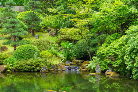 美丽的日本花园