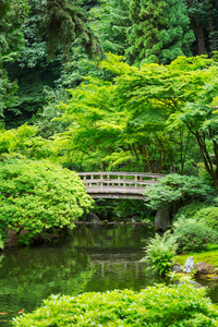 美丽的日本花园