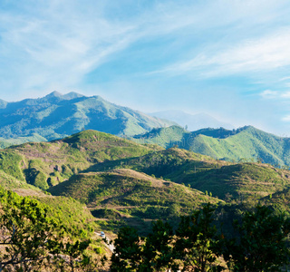 山景