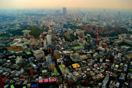 日本东京的城市密度。
