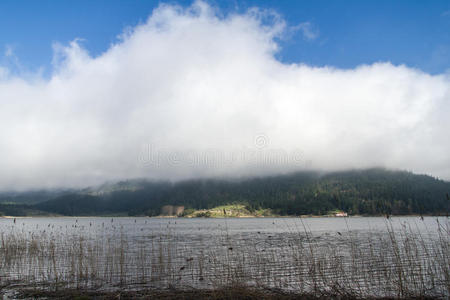 阿班特湖风景