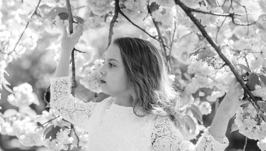 女孩在平静的脸上站在樱花树枝间, 弥散。可爱的孩子喜欢自然在春天的日子。春天的花朵概念。女孩长头发户外, 樱桃花背景