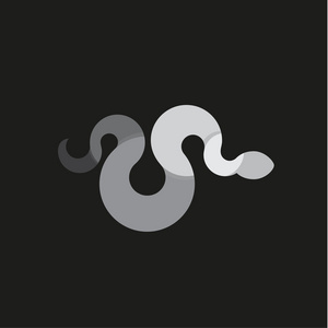 爬行类动物照片爬行的蛇的几何圆圈单色现代设计矢量爬行类动物照片