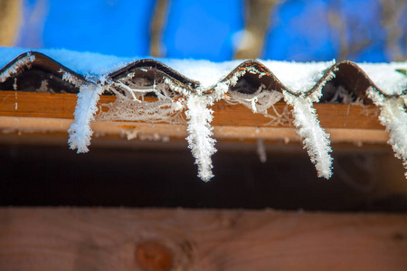 雪在一个阳光明媚的冬日从屋顶挂着冰柱