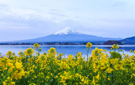 富士山在湖河口湖