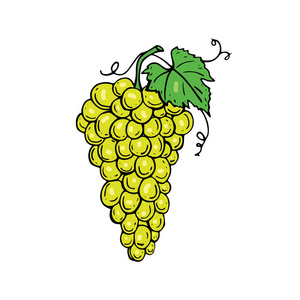 一串葡萄图标图片
