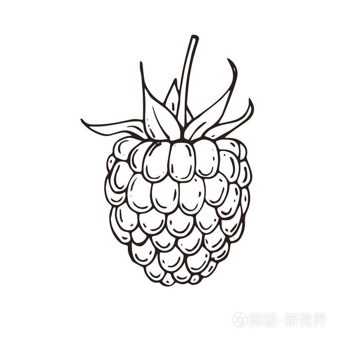手绘覆盆子图标.矢量插图插画-正版商用图片0qpgpw-摄图新视界
