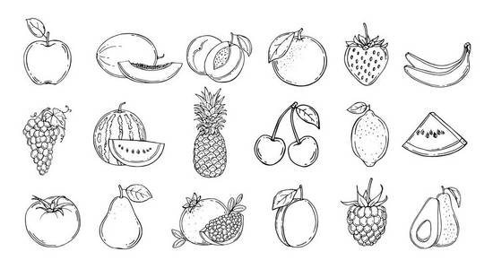 一套水果。矢量插图。手绘