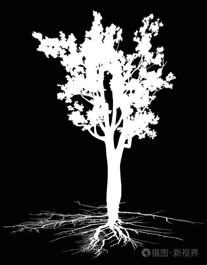 插图与孤立在黑色背景上的树剪影插画-正版商用图片0qphec-摄图新视界