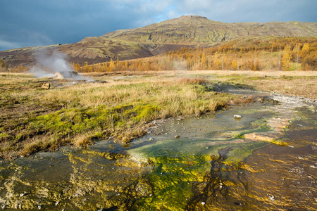 Haukadalur 冰岛 Geysir 区