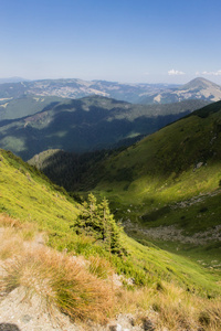 夏日风景的 Marmarosy 山脉