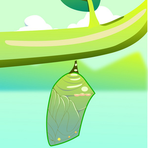 茧卡通蝴蝶茧剪贴画照片