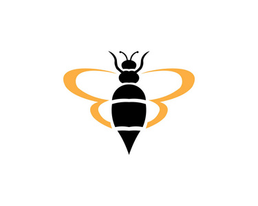 昆虫和蜘蛛图片-昆虫和蜘蛛素材-昆虫和蜘蛛插画-摄图新视界