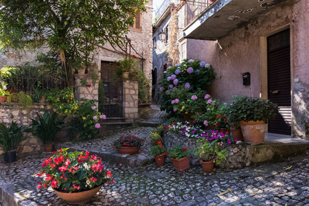 意大利中世纪乡村房子前的花朵