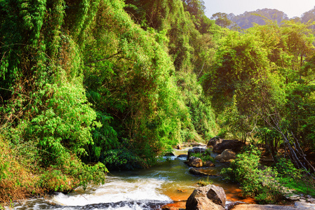 与清澈的水，绿色的树林间条美丽的河