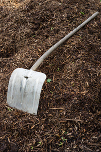 shovelor 铲在园艺地球, 耕种的工具