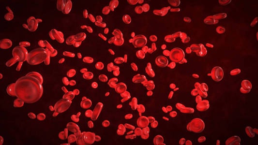 生物体内的红血细胞