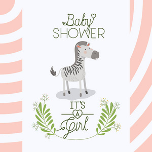 婴儿沐浴卡与可爱的斑马