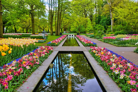 水路径包围色彩艳丽的郁金香，库肯霍夫公园在荷兰利瑟