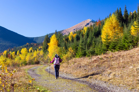 通路在秋天的森林中女性的徒步旅行者在通路在秋季森林中行走照片