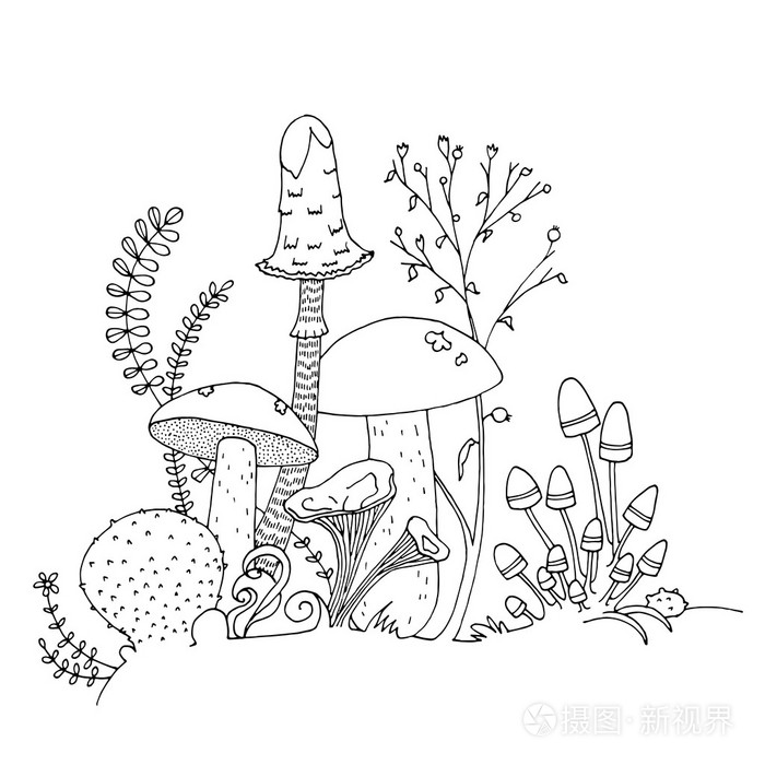 蘑菇的黑白轮廓的手画的着色页