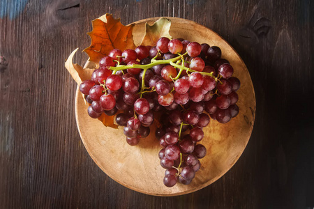 新鲜黑葡萄串。秋天的果实。法国和意大利的文化