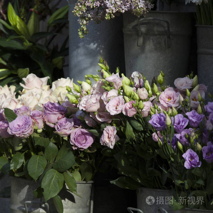 桔梗 香雪兰的味道和紫丁香在大型铝桶的花束照片 正版商用图片0qqgqo 摄图新视界 桔梗 香雪兰的味道和紫丁香在大型铝桶的花束照片 正版商用图片0qqgqo 摄图新视界