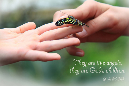 用圣经引述的蝴蝶在孩子的手指上休息