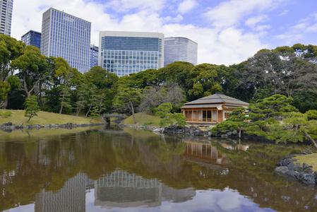 在日本，在东京的宁静日本花园