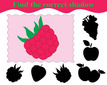 儿童教育游戏。找到树莓的正确阴影。矢量插图