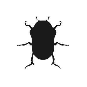 Protaetia 可能 Bug 昆虫设计平面
