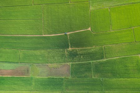 飞机鸟瞰的图图片-飞机鸟瞰的图素材-飞机鸟瞰的图插画-摄图新视界