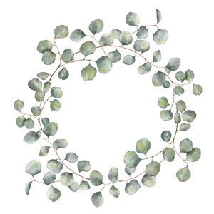 银元桉树支的水彩花圈。手绘花卉插图与孤立的白色背景上的圆叶。设计或打印