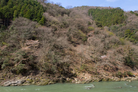 嵯峨野观光线的景观观