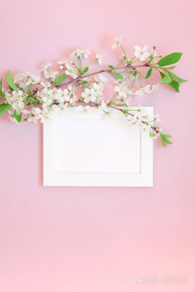 创意平躺概念空白框架模拟和樱桃树花在千禧年粉红色背景与复制空间最
