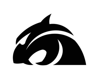 豹子, 美洲狮, 豹, 老虎动作剪影.