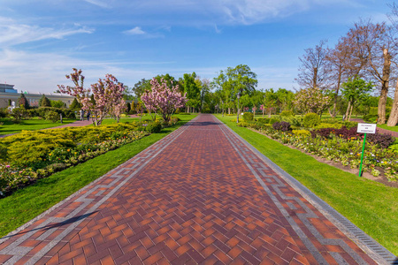 路是自由的这条路是用红色的瓷砖铺设的, 穿过一个美丽的种植公园和蛤