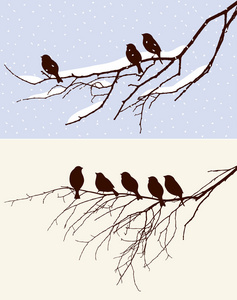 鸟儿在冬天和春天