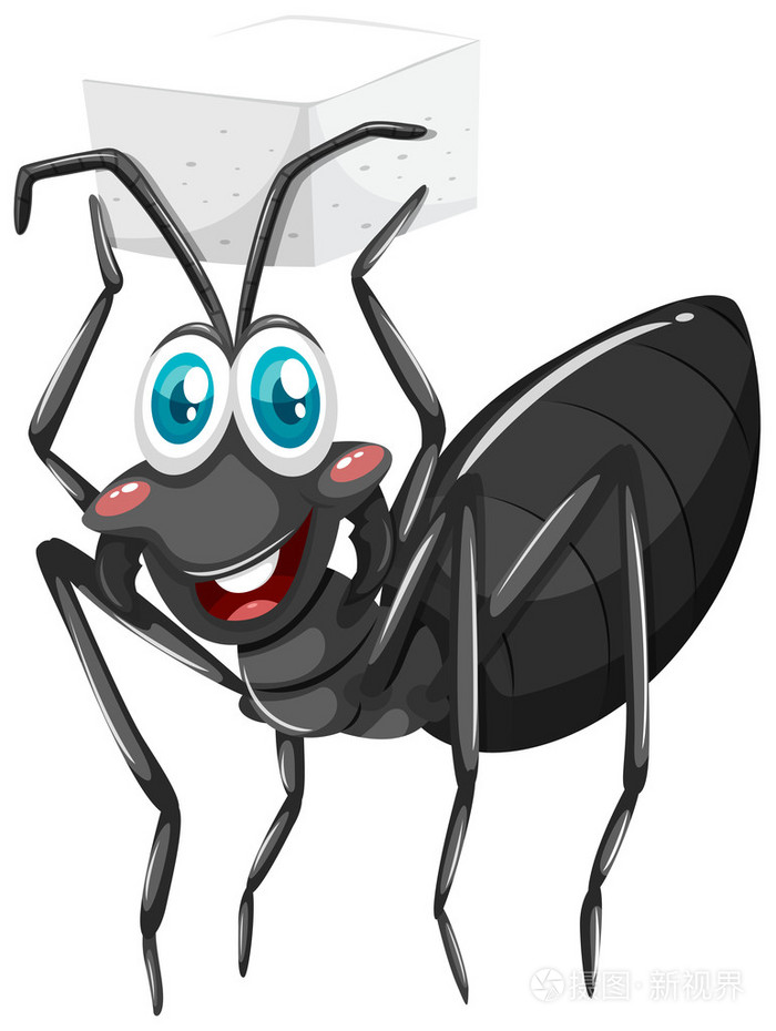 黑蚂蚁抱着糖多维数据集