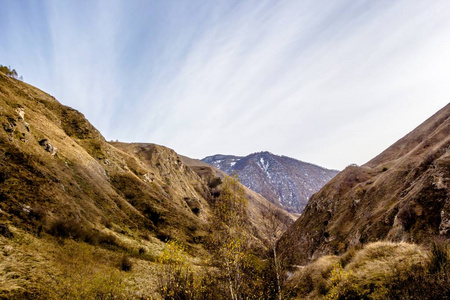 野生自然山风景