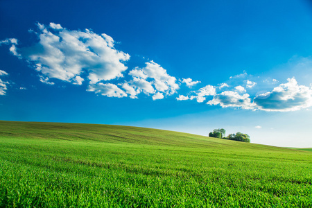 绿色的天堂美丽早晨绿色领域与蓝色天堂照片