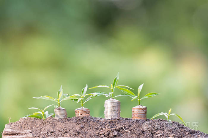 在绿色自然的背景下, 把钱洒在地上.