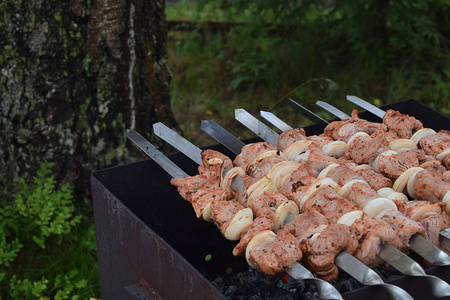 烹调过程烧烤夏天烤肉烤猪肉羊肉串烤肉串或羊肉串烤肉串野蛮烟雾烧烤传统食品