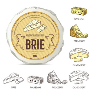 创意贴纸为法国布里乳酪的上圆奶酪样机。矢量图和老式的标签。用于广告奶酪和图形图标 logo 设计或会徽创作好的手绘制的模板