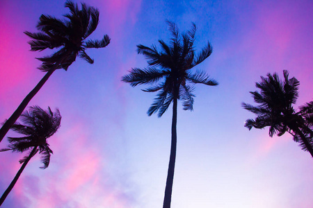 日落时分椰子棕榈树剪影, 泰国兰达岛