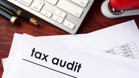 税务审计对文档和业务数据